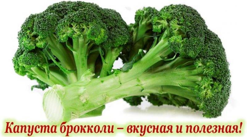 Broccoli: beneficial properties and contraindications