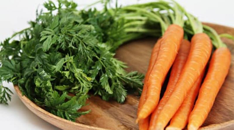 Zanahorias: beneficios y daños para el cuerpo.