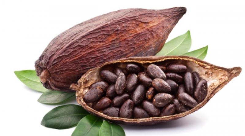 Granos de cacao: propiedades beneficiosas