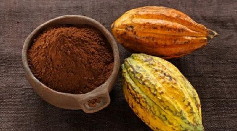 Manteca de cacao: propiedades beneficiosas, usos y contraindicaciones.