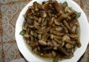 Mushroom mushrooms: health benefits and harms