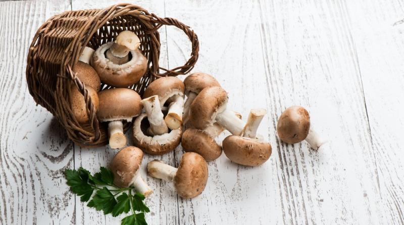 The whole truth about champignons: the most useful and interesting things